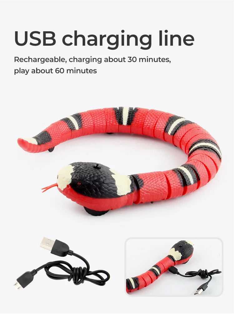 Magic Snake - Smart Toy for Cats