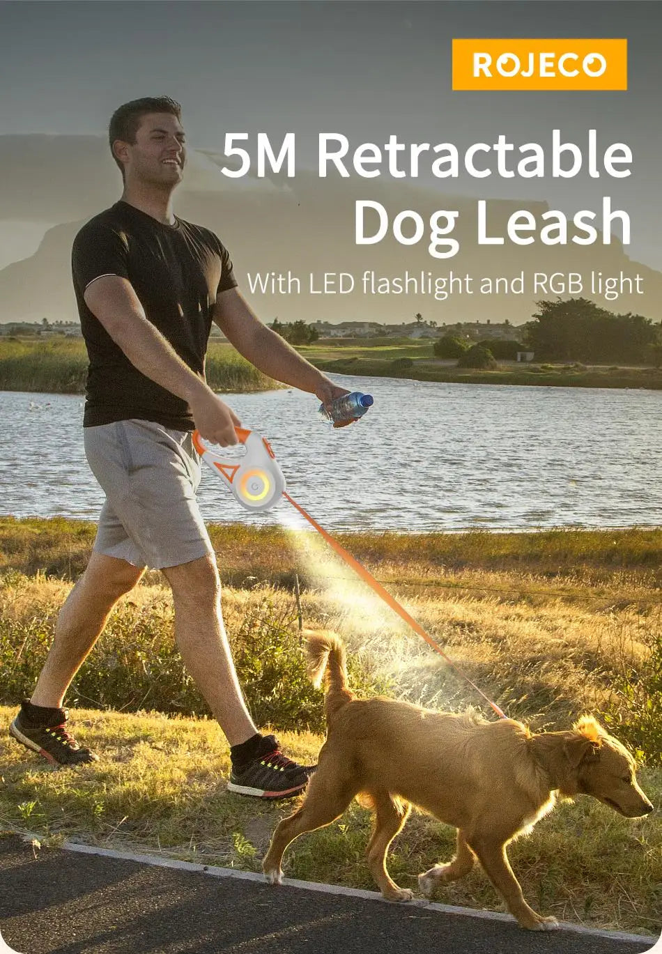 Automatic Retractable Luminous Dog Walking Rope