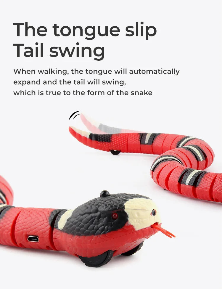 Magic Snake - Smart Toy for Cats